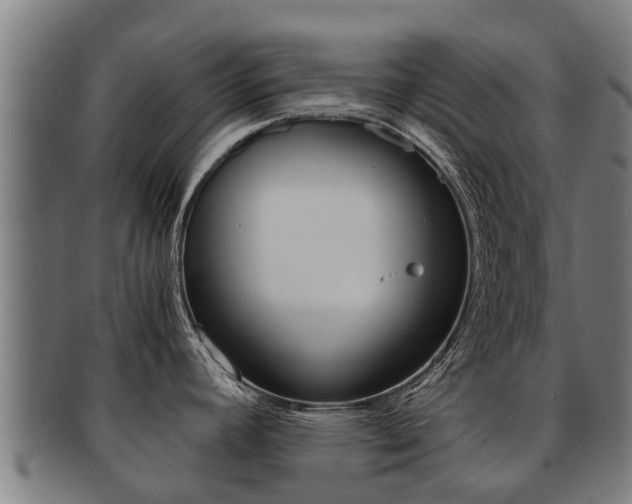 X0000091921392200709051222