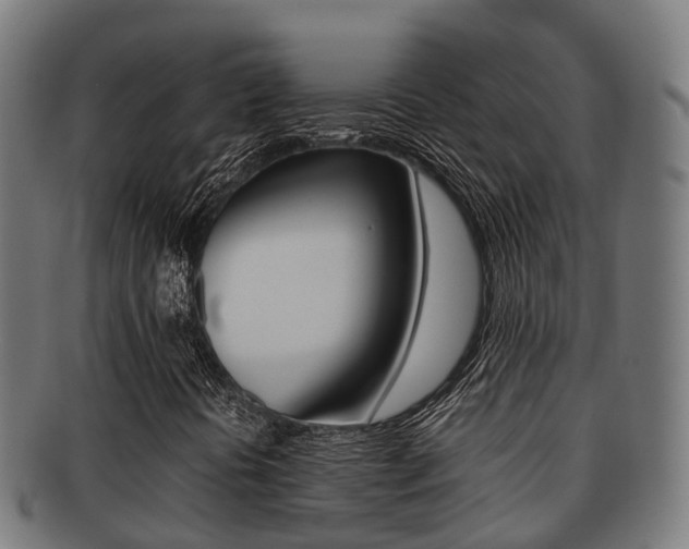 X0000091921394200709051222