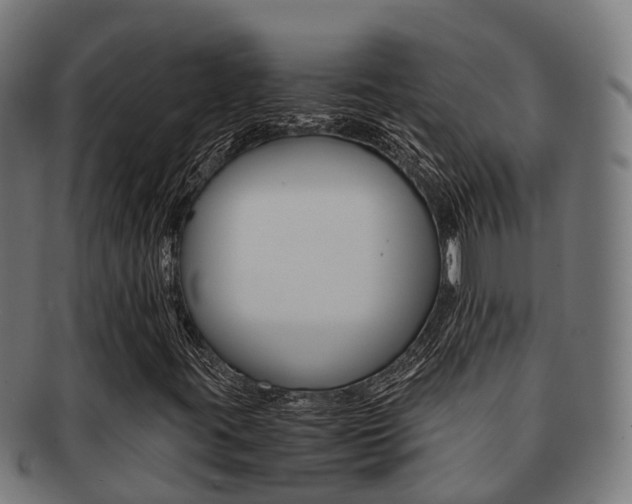X0000091921395200709051222
