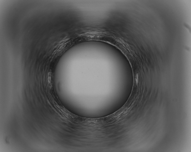 X0000091921396200709051222