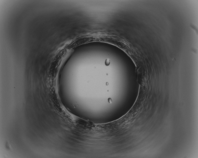 X0000091921398200709051222