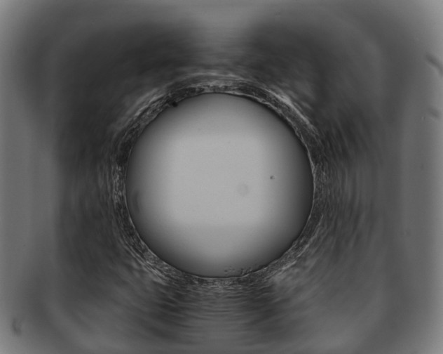 X0000091921399200709051222