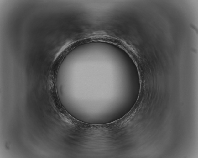 X0000091921400200709051222