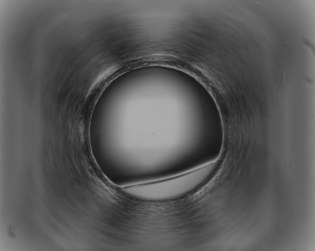 X0000091921402200709051222
