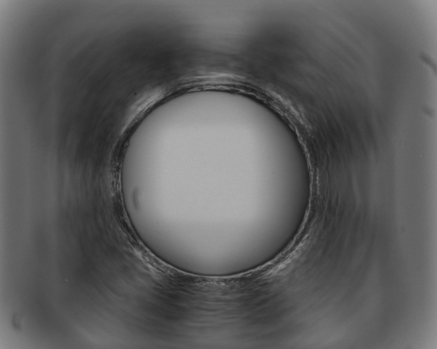 X0000091921405200709051222