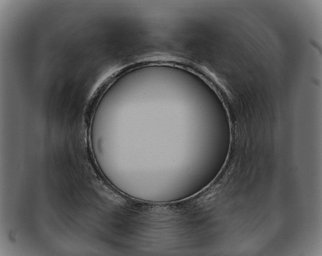 X0000091921408200709051222