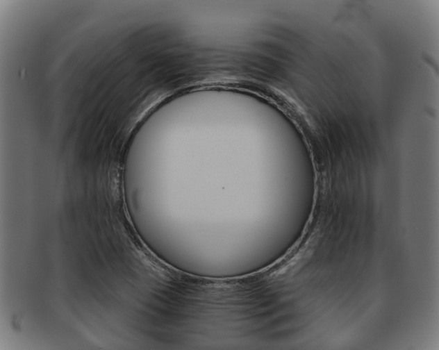 X0000091921409200709051222