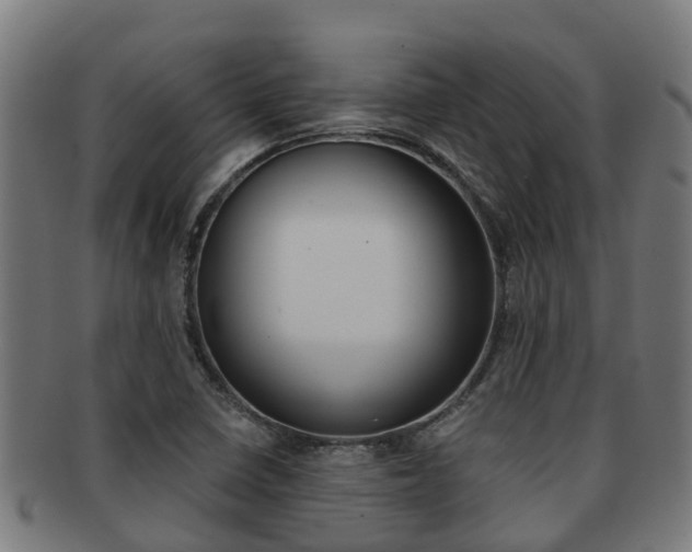 X0000091921410200709051222