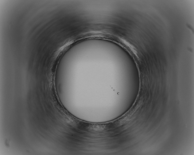 X0000091921411200709051222