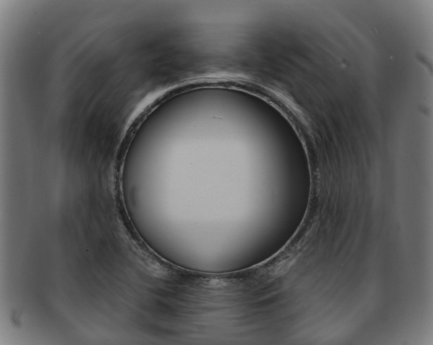 X0000091921412200709051222