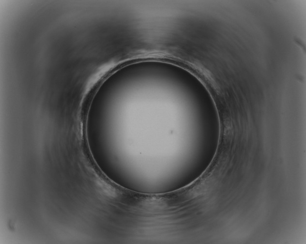 X0000091921414200709051222