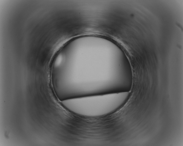 X0000091921415200709051222