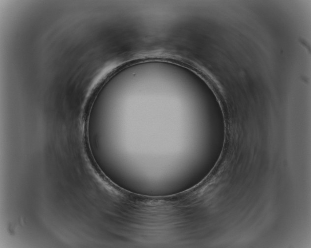 X0000091921416200709051222