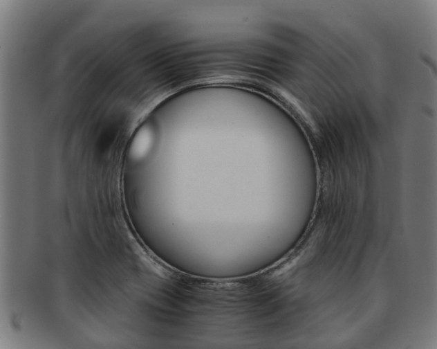 X0000091921417200709051222