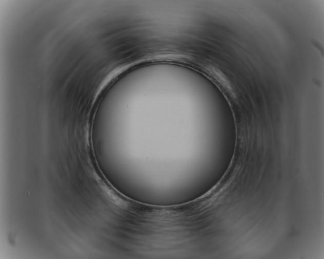 X0000091921420200709051222