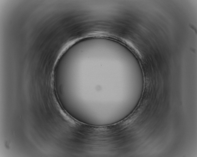 X0000091921421200709051222