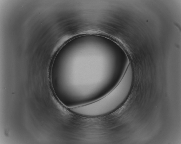 X0000091921422200709051222