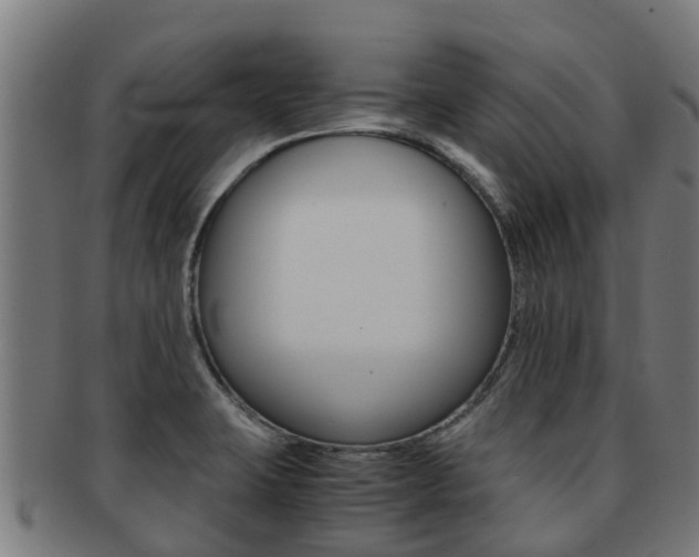 X0000091921423200709051222