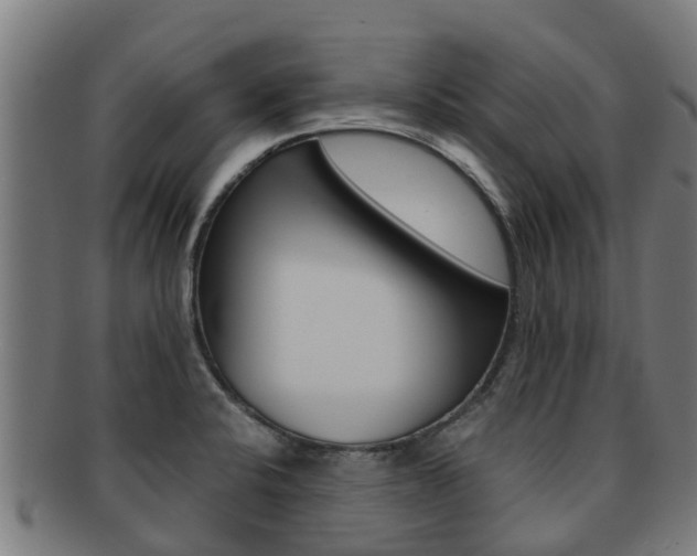 X0000091921424200709051222