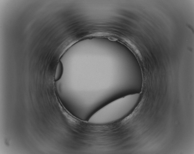 X0000091921425200709051222