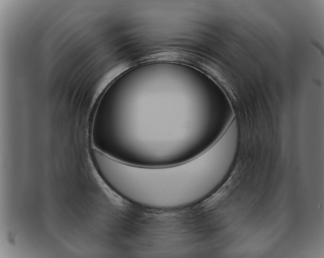 X0000091921426200709051222
