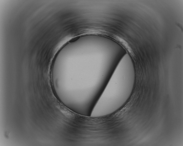 X0000091921427200709051222