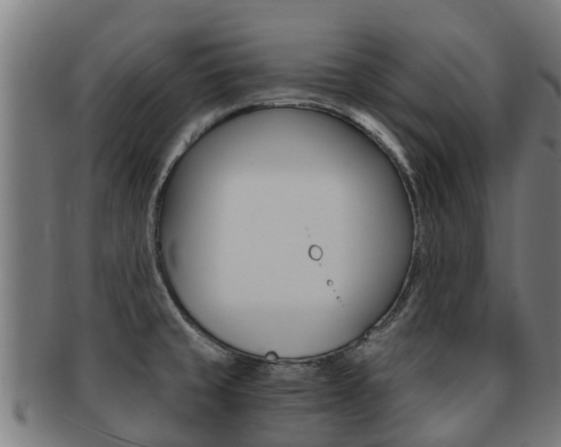 X0000091921429200709051222