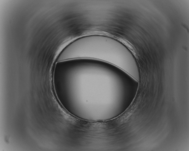 X0000091921430200709051222