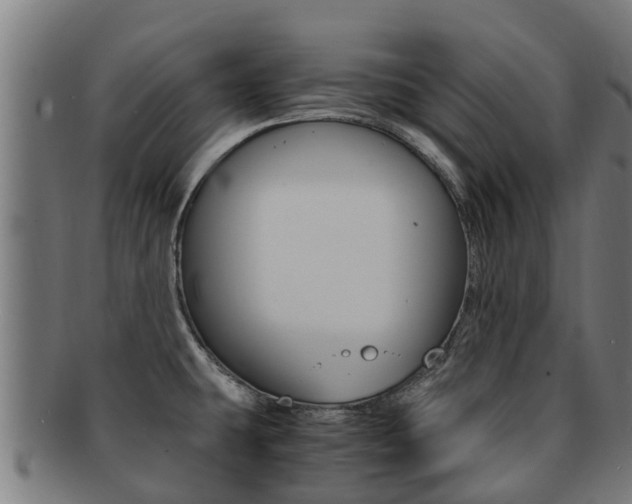 X0000091921431200709051222