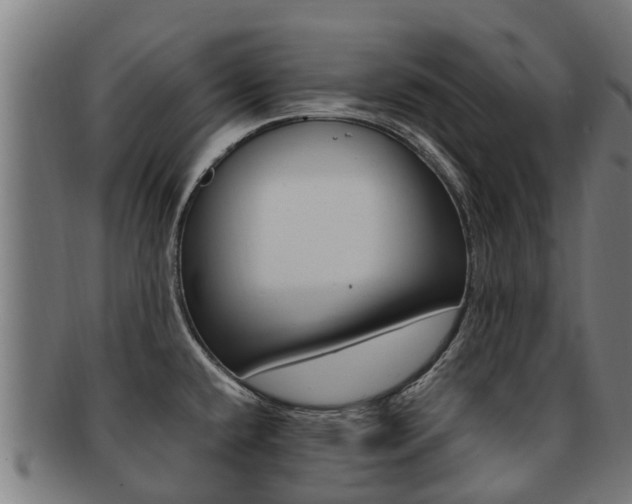 X0000091921432200709051222