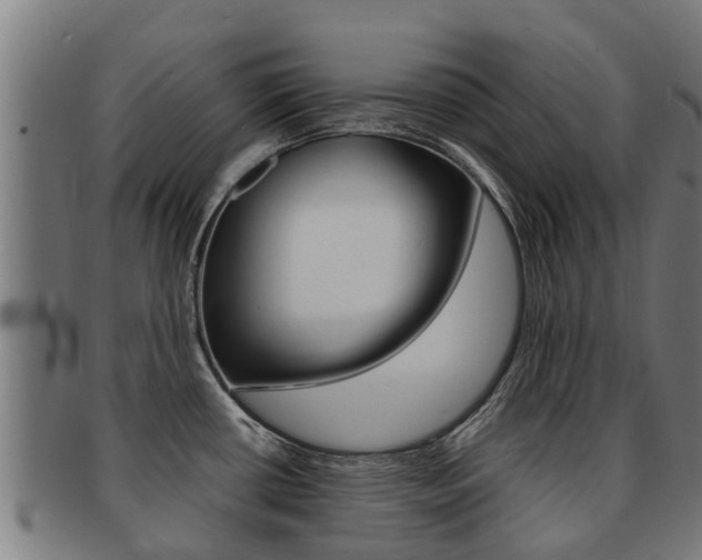 X0000091921434200709051222