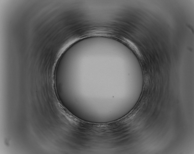 X0000091921435200709051222