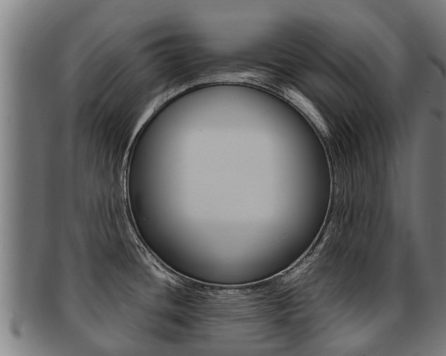 X0000091921436200709051222