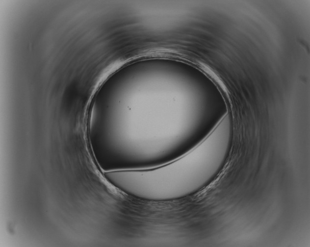 X0000091921437200709051222
