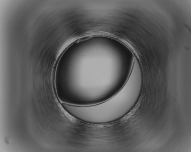 X0000091921438200709051222