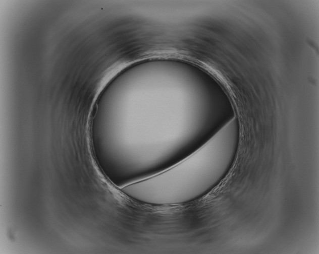 X0000091921440200709051222