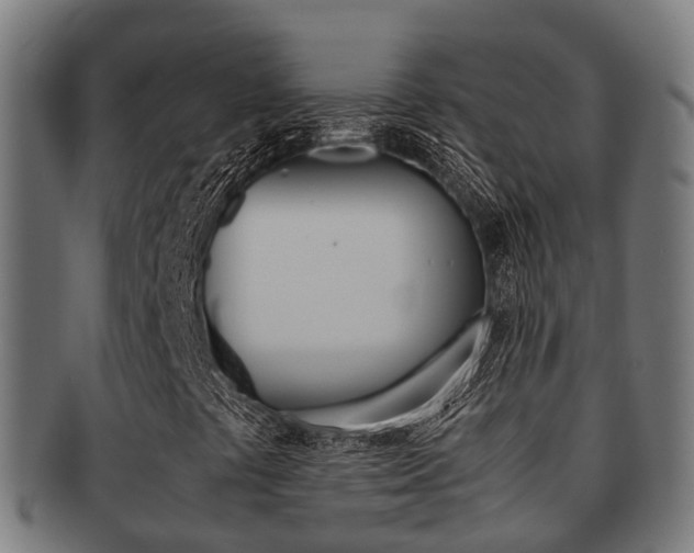 X0000091921441200709051222