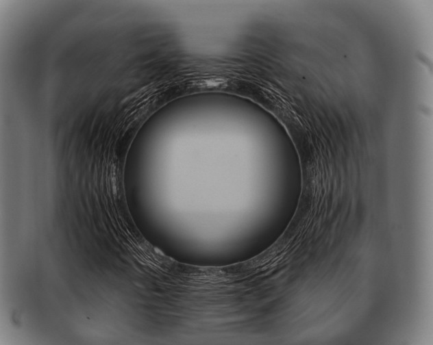 X0000091921442200709051222