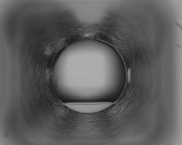 X0000091921443200709051222
