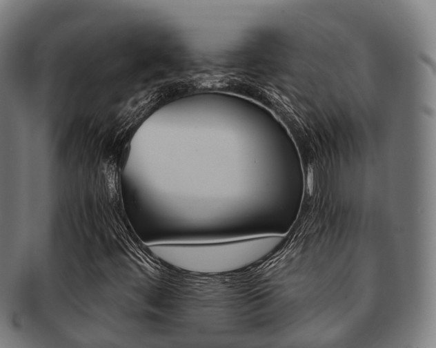 X0000091921444200709051222