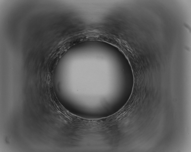 X0000091921445200709051222