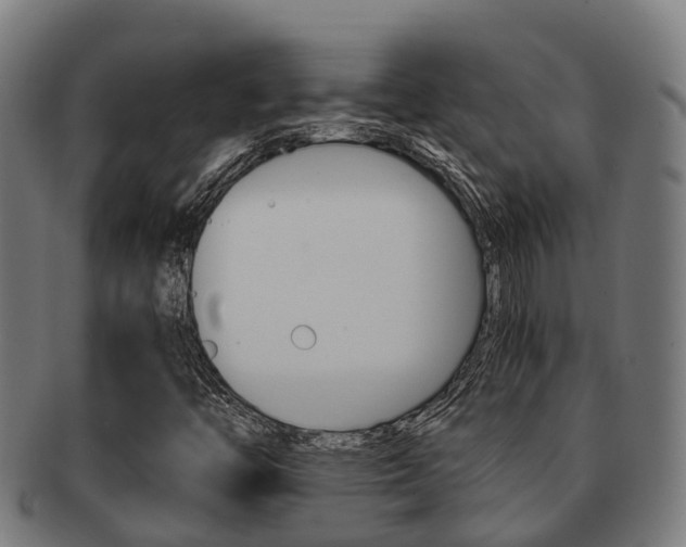 X0000091921446200709051222