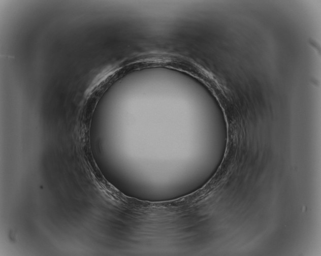 X0000091921448200709051222