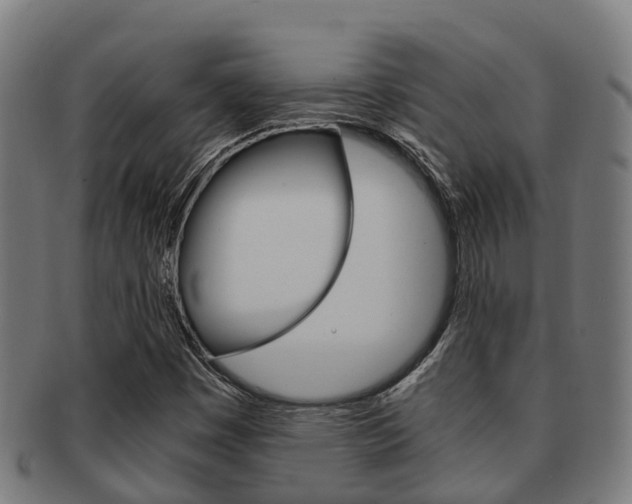 X0000091921449200709051222