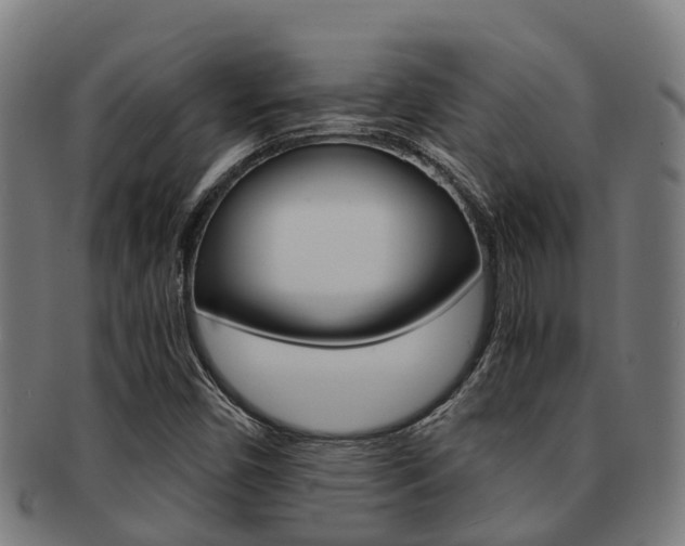 X0000091921450200709051222