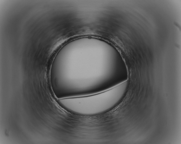 X0000091921452200709051222