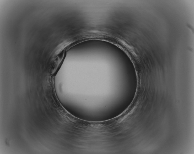 X0000091921453200709051222