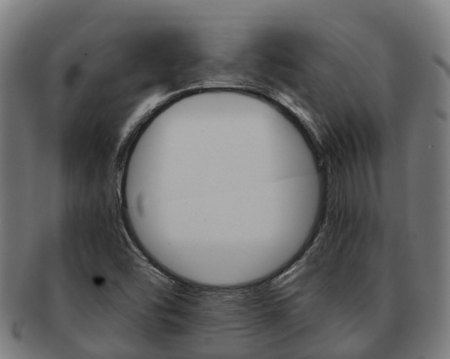 X0000091921454200709051222