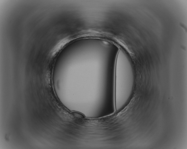 X0000091921455200709051222