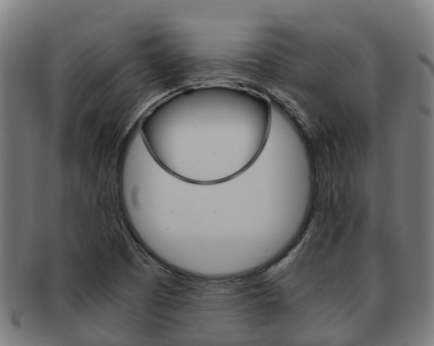 X0000091921457200709051221